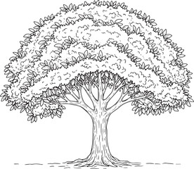 Monochrome botanical illustration of a tree with detailed foliag