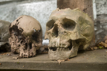 Fake human skull in a grungy setting