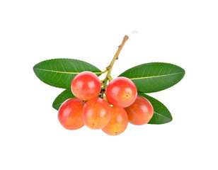 Obraz premium “Fresh Arbutus Berries Cluster with Leaves, isolated on a transparent background”.