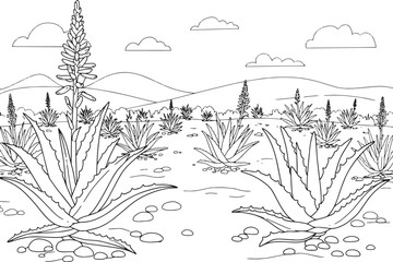Aloe Vera Plantation: A Monochrome Vector Illustration of Arid L
