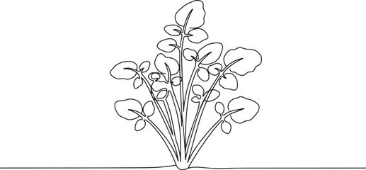 Minimalist watercress illustration in a single continuous line d