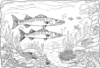 Fototapeta premium Detailed Barracuda Outlines Swimming in a Vibrant Underwater Cor