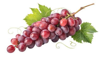 Fototapeta premium Fresh red grapes bunch with green leaves healthy fruit antioxidant rich food delicious sweet grapes isolated