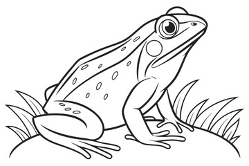 coloring page line art the frog black vector