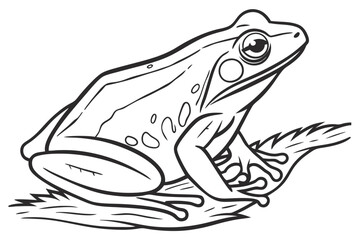 coloring page line art the frog black vector