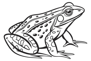 coloring page line art the frog black vector
