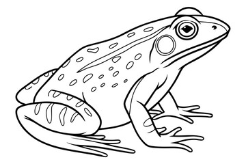 coloring page line art the frog black vector