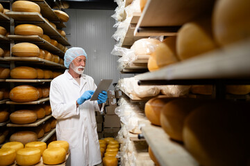 Small business of making high quality cheese. Entrepreneur with tablet computer checking aging...