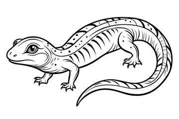 coloring page line art the skink black vector