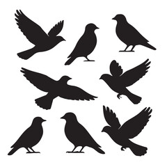 Obraz premium Vibrant flock of colorful birds in flight detailed vector illustration