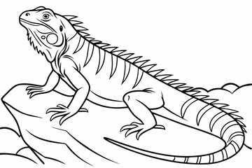 coloring page line art the iguana black vector