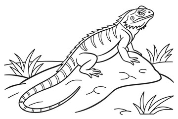 coloring page line art the iguana black vector