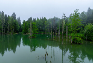 Borcka Karagol ( Black Lake ) in Artvin Province of Turkey