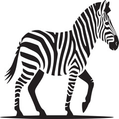 Illustration of a zebra walking with black and white stripes on a white background design style