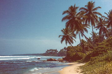 A cinematic shot of the tropical beach in Kandy, flowerpunk style, bright sky, tropical trees on both sides of the sand and ocean in front, sunny day