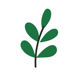 Plant Branch Isolated Transparent Element. Colorful New Year or Christmas Decoration Element Symbol. Family Holiday Party Decoration. Greeting Winter Holiday card or Invitation Design Art Sign. 