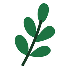 Plant Branch Isolated Transparent Element. Colorful New Year or Christmas Decoration Element Symbol. Family Holiday Party Decoration. Greeting Winter Holiday card or Invitation Design Art Sign. 