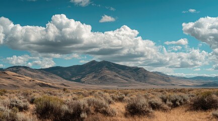 Vast, sun-drenched valley, mountains, fluffy clouds