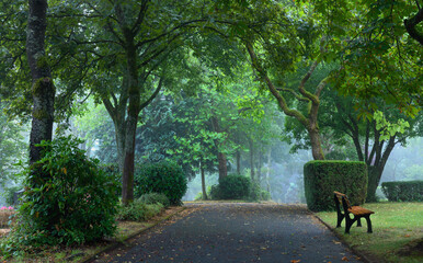 Park Weg und Nebel bei Regen, Bank