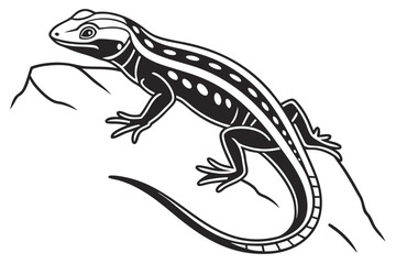 coloring page line art the lizard black vector