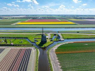 Holland - Tulpen - Niederlande