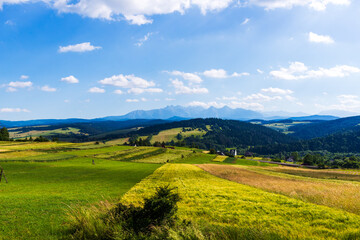 Expansive view of a rural landscape with green and golden fields stretching towards a forest and distant mountain range.