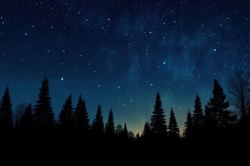 Fototapeta premium Silhouetted trees against a night sky, dotted with stars and the milky way