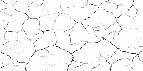 black and white dust and cracked concrete wall Texture pattern design element white background.
