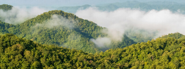 Banner Beautiful Mountain landscape foggy mountain green landscape morning sunrise. Amazing...
