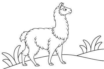 coloring page line art the alpaca black vector