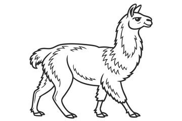 coloring page line art the alpaca black vector