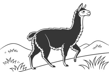 coloring page line art the alpaca black vector