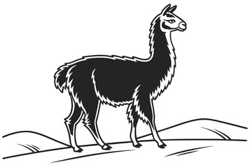 coloring page line art the alpaca black vector