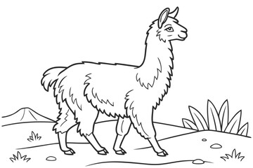 coloring page line art the alpaca black vector