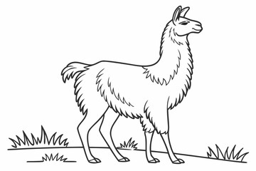 coloring page line art the llama black vector