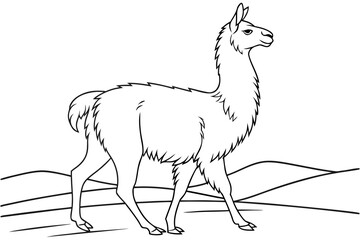 coloring page line art the llama black vector
