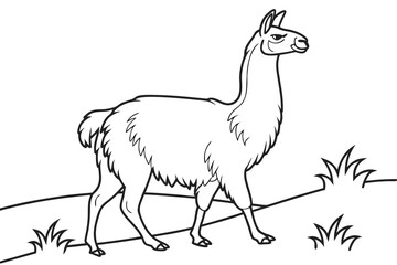 coloring page line art the llama black vector