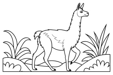 coloring page line art the llama black vector