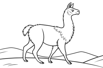 coloring page line art the llama black vector