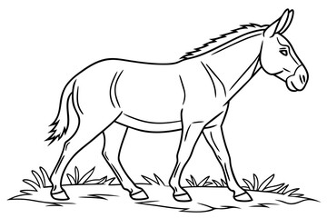 coloring page line art the mule black vector