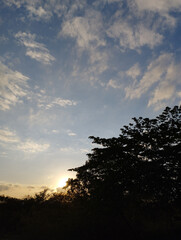 Sunset light shines through tree silhouettes under a soft, cloud-streaked sky