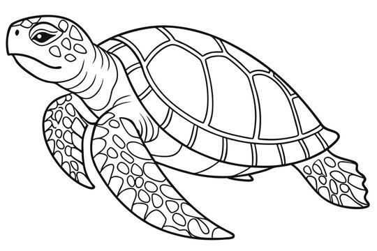 coloring page line art the painted turtle black vector