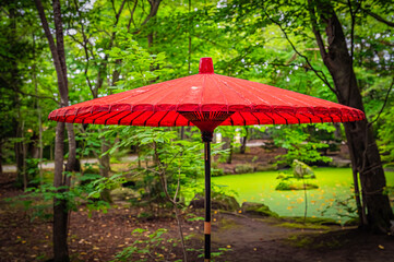 北海道　帯広市　帯廣神社の花手水