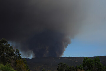 A black cloud of smoke over a forest, dangerous forest fire in the Porto region, Portugal