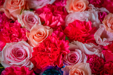 北海道　帯広市　帯廣神社の花手水