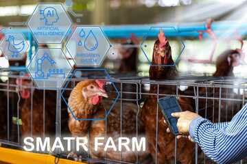 Smart Farm concept with a farmer using a smartphone and AI to manage a poultry farm.