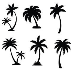 Fototapeta premium Various palm trees in silhouette black white silhouette, vector, isolated on white background, cutout, png, clipping path, transparent,