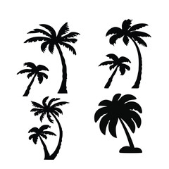 Fototapeta premium Various palm trees in silhouette black white silhouette, vector, isolated on white background, cutout, png, clipping path, transparent,