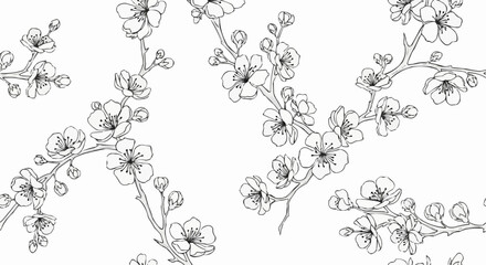 Sakura blossom pattern. Cherry flower seamless vector background. Floral japanese or chinese black line art. Spring vintage tree branch.elegant, graphic, japan, japanese, ornament, outline,