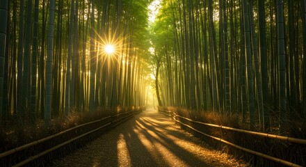 Naklejka premium Golden Sun Rays Through Tall Bamboo Forest Illuminating Serene Path with Long Shadows, Peaceful Nature Scene